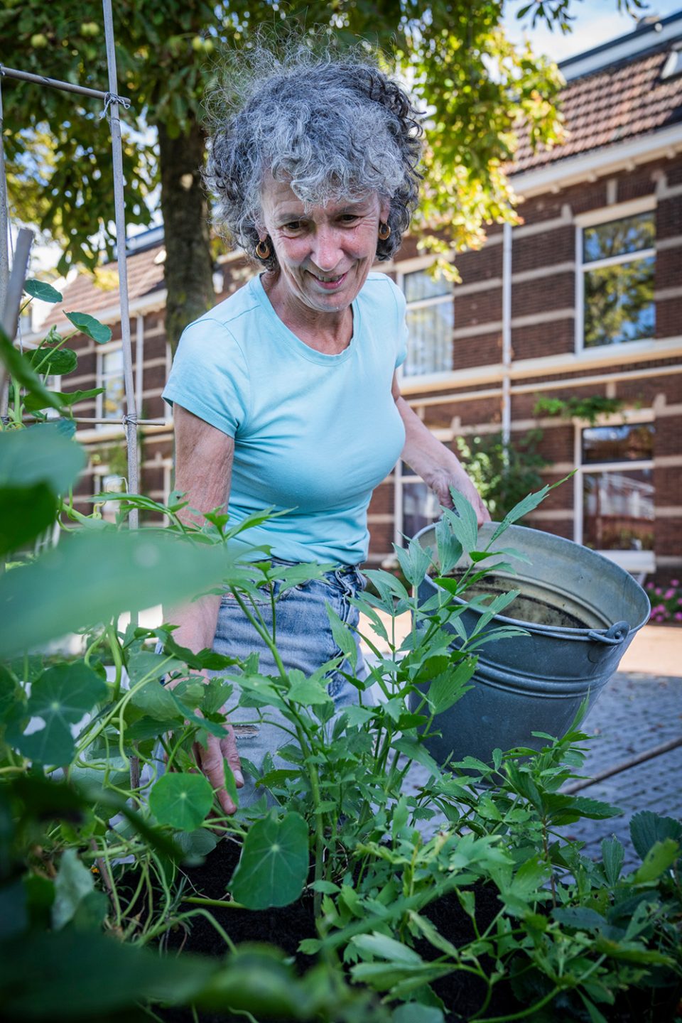 burendagen-zandbewoners