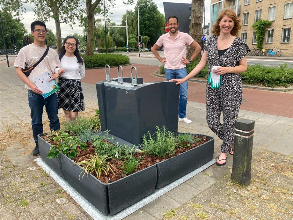 containertuintjes-zandbewoners